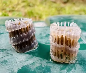 Bionosičové čističky odpadových vôd AT MBBR 